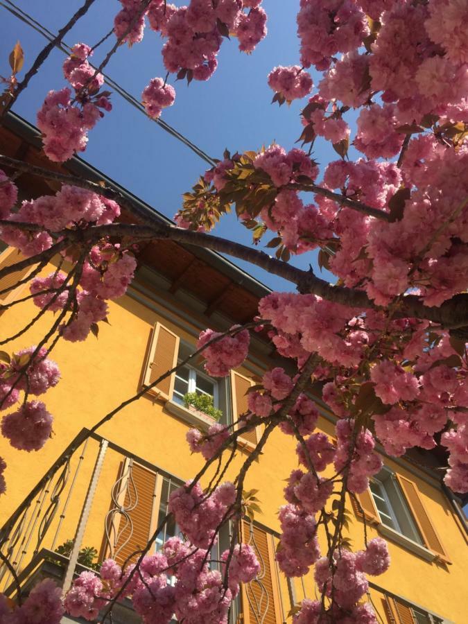Liberty Room And Breakfast Borgo Val di Taro Exterior photo